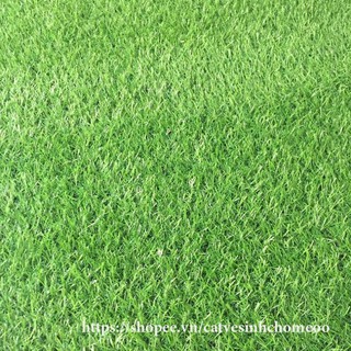 [ 1.5M x 0.5M ] Cỏ nhựa nhân tạo 2cm