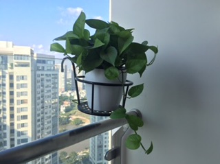 Giỏ sắt treo ban công.