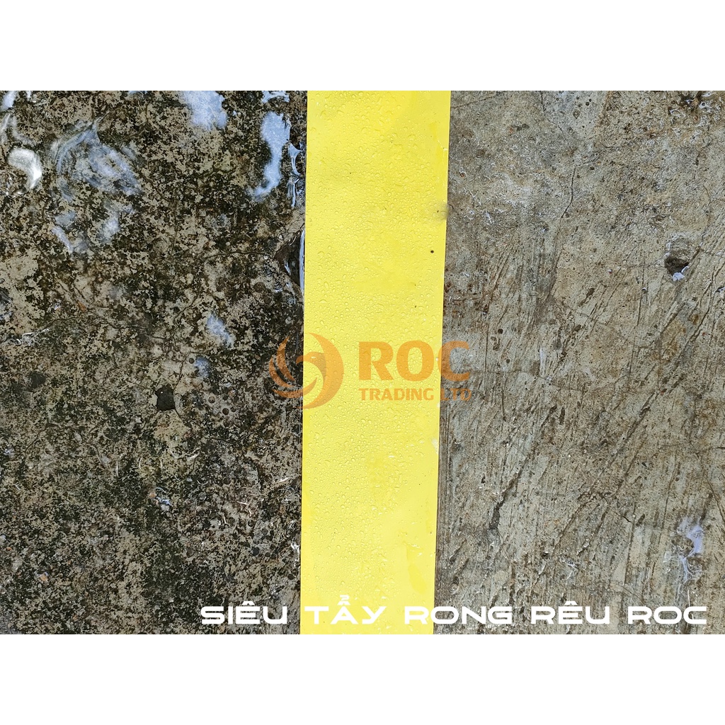 Mua Bột tẩy rong rêu trên nền xi măng ROCO - sạch trong một lần sử dụng ...
