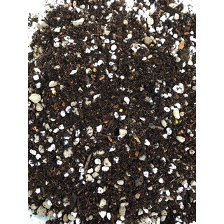 Đất trồng sen đá 1kg