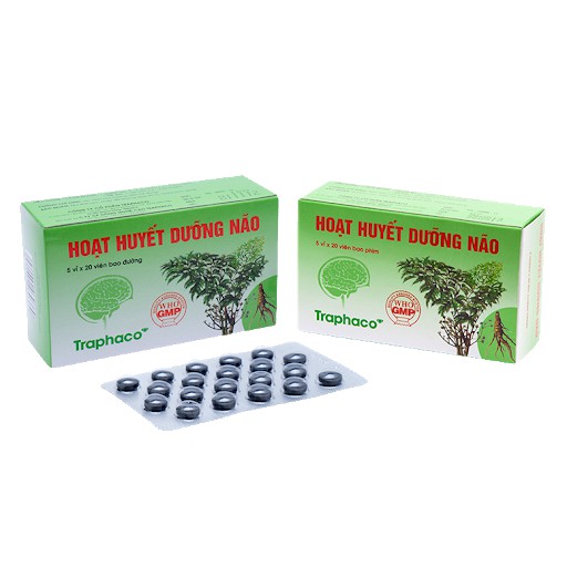 HOẠT HUYẾT DƯỠNG NÃO - Não khỏe cho cuộc sống tươi đẹp