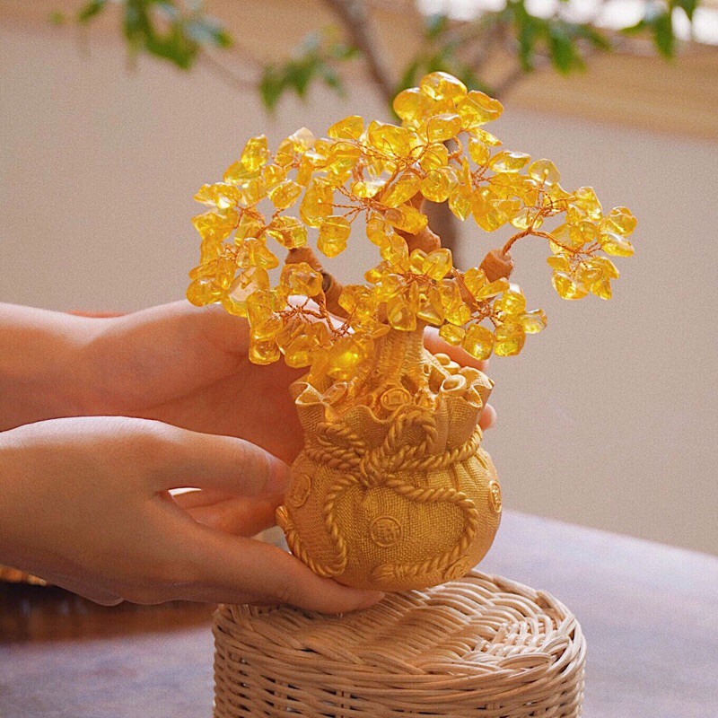 Cây tài lộc