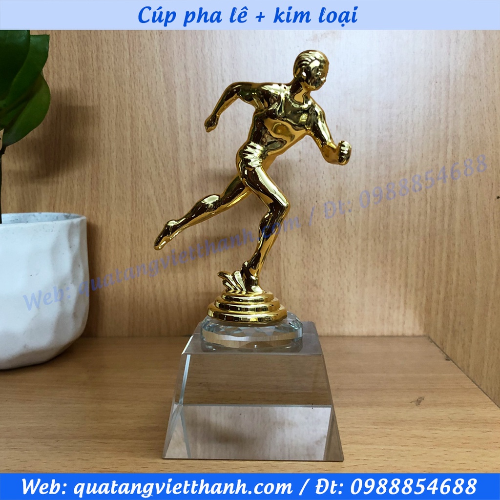 CÚP PHA LÊ KIM LOẠI