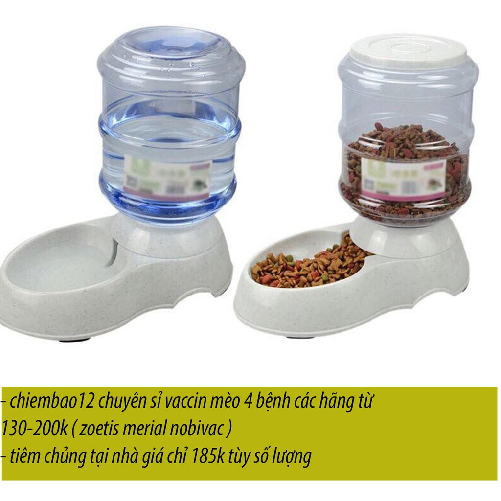 COMBO Bát ăn tự động và bát uống tự động chó mèo 3,8 lít sỉ SLL-bát ăn tự động chó mèo -nekoshop