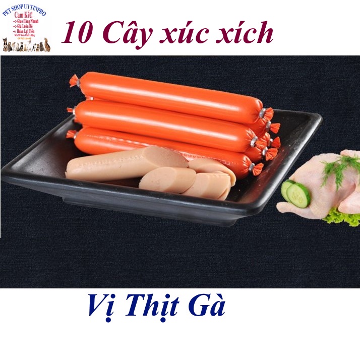 10 CÂY XÚC XÍCH DINH DƯỠNG CHO CHÓ MÈO - Pet shop Uytinpro
