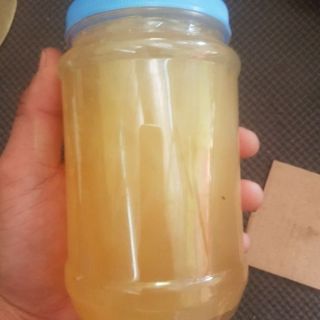 Keo bẫy chim , cò,  vạc siêu dính