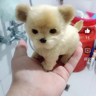 Chihuahua mini giả (không phải chó thật) trang trí nhà cửa trang trí ngày lễ tình nhân quà tặng quà tặng sinh nhật