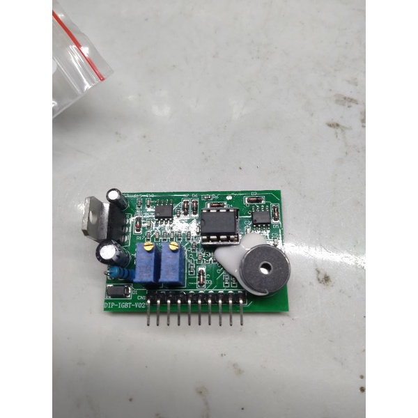 Bo lái igbt nước mặn