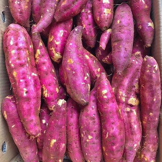 Khoai Lang Nhật Đà Lạt chuân Viet gap (1kg)