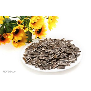 (TẾT) Hướng dương 1kg