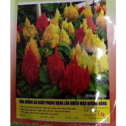 Hạt giống Hoa mồng gà đuôi phụng lùn nhiều màu - Gói 0,3gram
