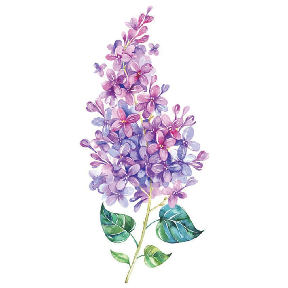 Hình Xăm Dán Nhiều Màu Sắc Chống Nước Lâu Trôi Dành Cho Nam Và Nữ Y9Z4