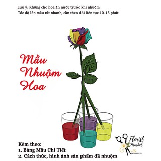 Mầu Nhuộm Hoa - Dung dịch nhuộm hoa trực tiếp sau 5-15 phút
