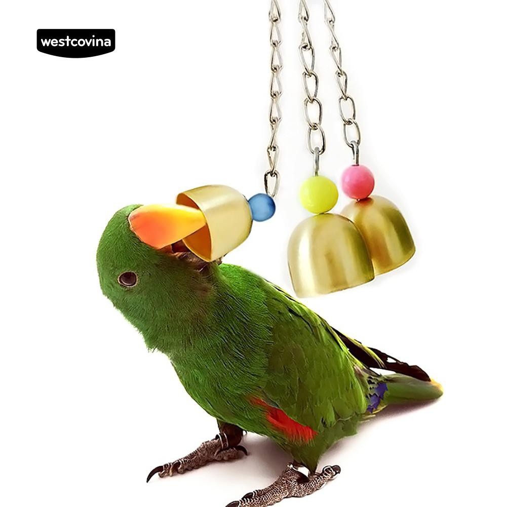 Đồ chơi gắn chuông và hạt nhiều màu vui nhộn cho vẹt