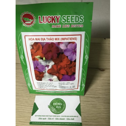 Hạt giống hoa mai địa thảo Mix gói 5 hạt