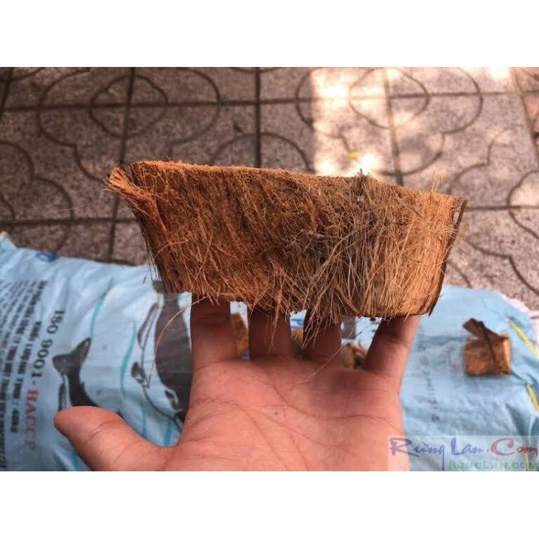 Xơ dừa cục 6*10cm bịch 1kg