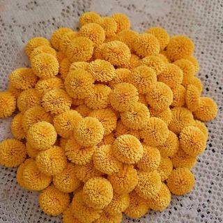 set 10 hoa quilling, giấy xoắn làm sẵn (hoa rời)