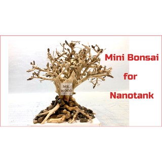 Lũa Bonsai Mini (Cây Đa) Cho Bể Cá Để Bàn - Xưởng Lũa Mr Wood