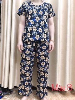 Bộ lanh tuổi trung niên