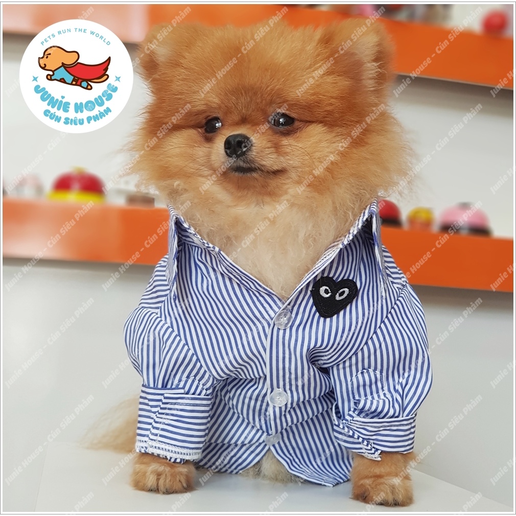 Áo sơ mi sọc thêu trái tim sang trọng cho chó mèo