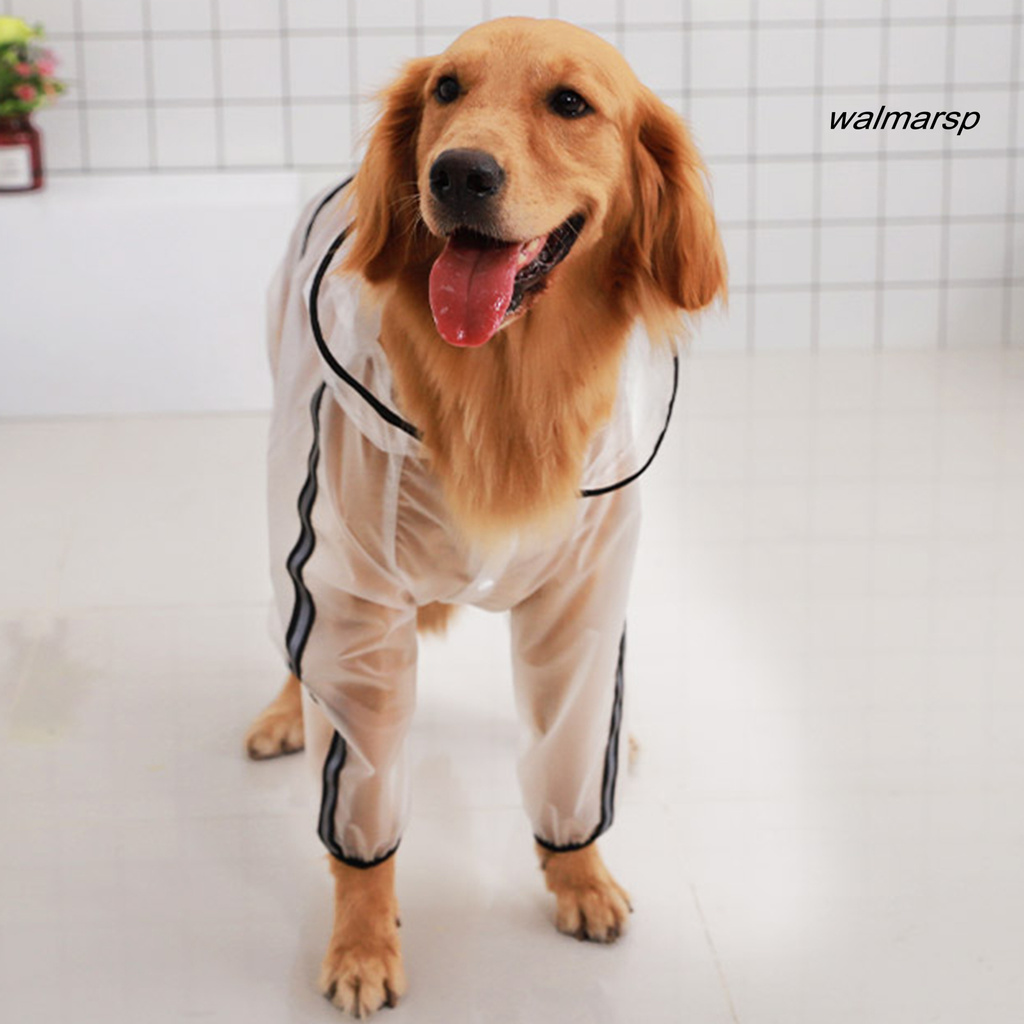 Áo mưa trong suốt thiết kế sáng tạo cho thú cưng