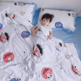 Bộ chăn ga gối đũi Hàn Quốc