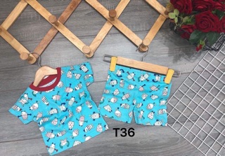 Combo Đồ thun bé trai ( T.Nguyen - cNghi)