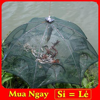 Lưới bẫy cá bát quái 12 cửa