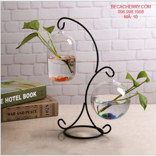 Bể cá mini đôi X + bình thủy tinh dưa 20cm + tròn 12cm ( Tặng kèm phụ kiện )