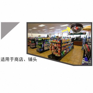 Camera Mô Hình Chống Trộm Thông Minh