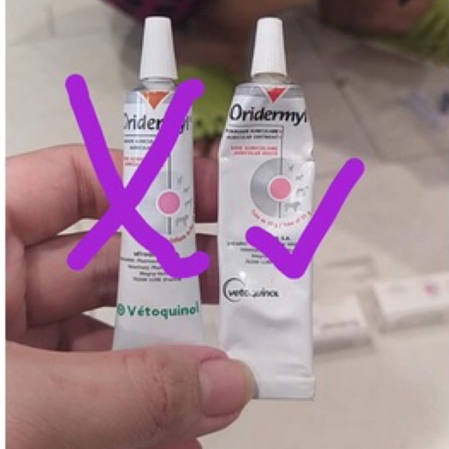 Gel Oridermyl 10gr chuyên về rận tai nấm tai cho thú cưng chó mèo