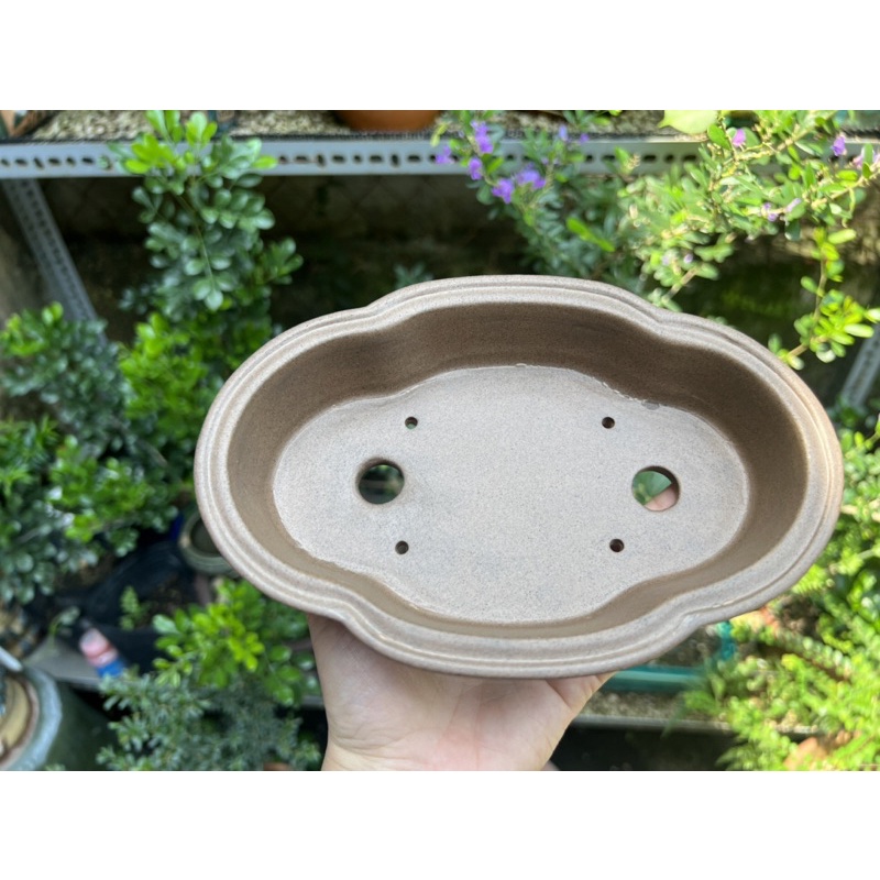 Video chậu đất nung áng mây biên hoà