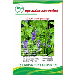 Hạt giống cây đuôi chuột ct71 - gói 100 hạt