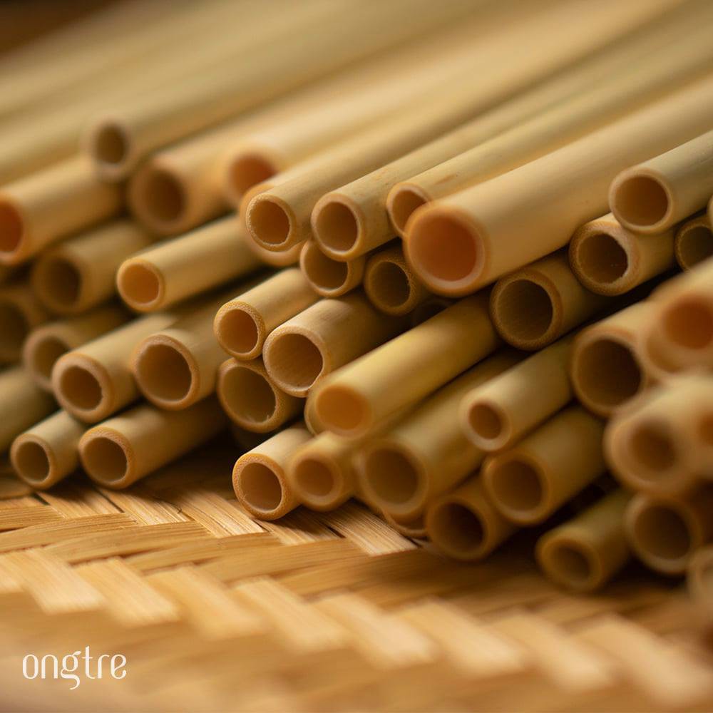 Ống hút Tre Xuất khẩu (Bamboo Straws) | ongtre® (Vietnam) | BigBuy360 - bigbuy360.vn