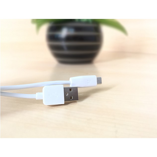 CÁP X1 MICRO 1M