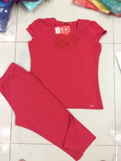 Đồ bộ thun cotton size 2x (59-65kg)
