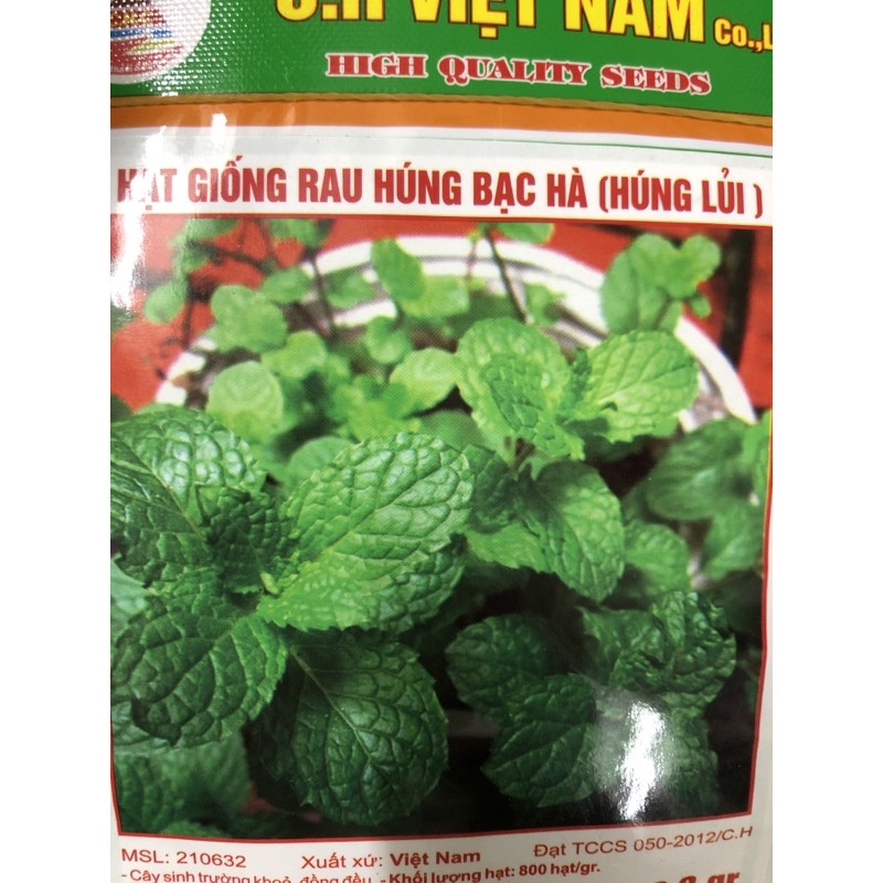 Hạt giống bạc hà (húng lủi) ☘️ Hạt giống F1