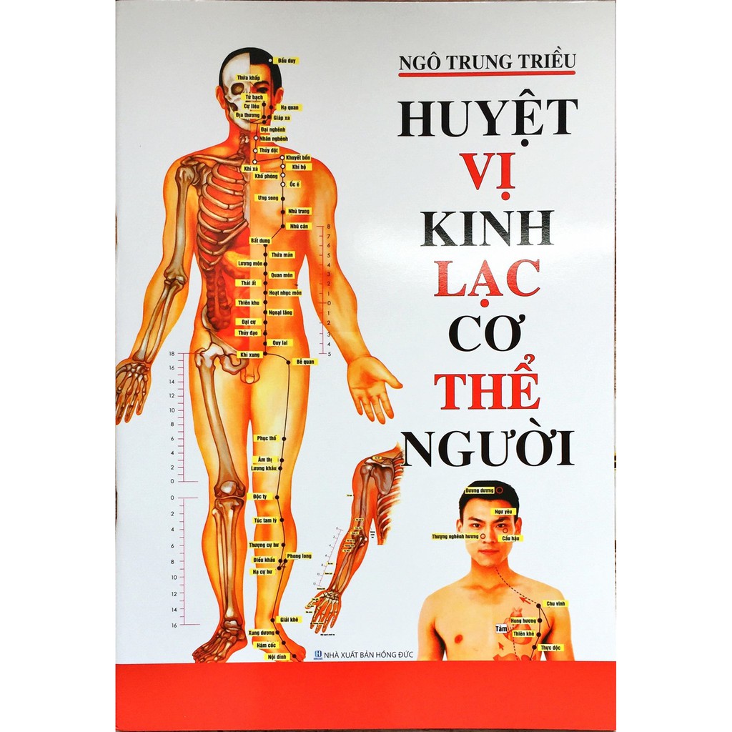 Tìm hiểu về huyệt vị kinh cơ thể người để tăng cường sức khỏe và giảm stress. Hình ảnh chân thực và minh họa sẽ giúp bạn dễ dàng nhận ra các vị trí huyệt đối với từng bộ phận của cơ thể.