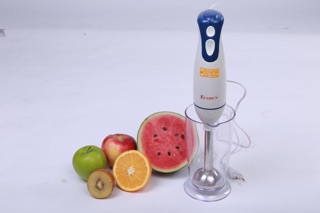 Máy xay cầm tay Ecosun BM-XB31