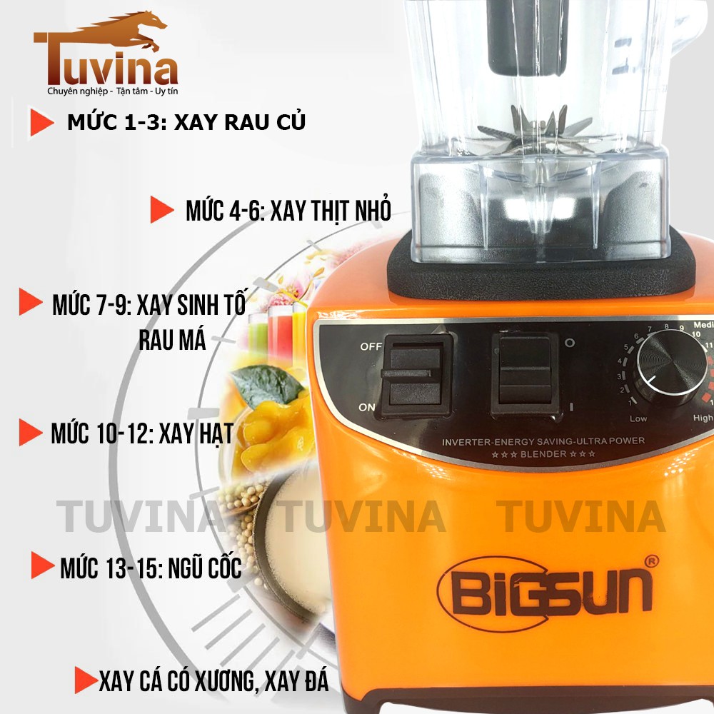 Máy Xay Sinh Tố Công Nghiệp Bigsun 1500W 2 Lít BM-3000 - Xay Nhiễn Được Đá Bi - Hàng Chính Hãng (Bảo Hành 12 Tháng)