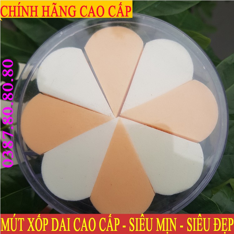 Bông đánh kem lót nền MÚT XỐP DAI SIÊU MỊN SIÊU ĐẸP chính hãng sidumi hàn quốc 8 miếng hình hoa hộp