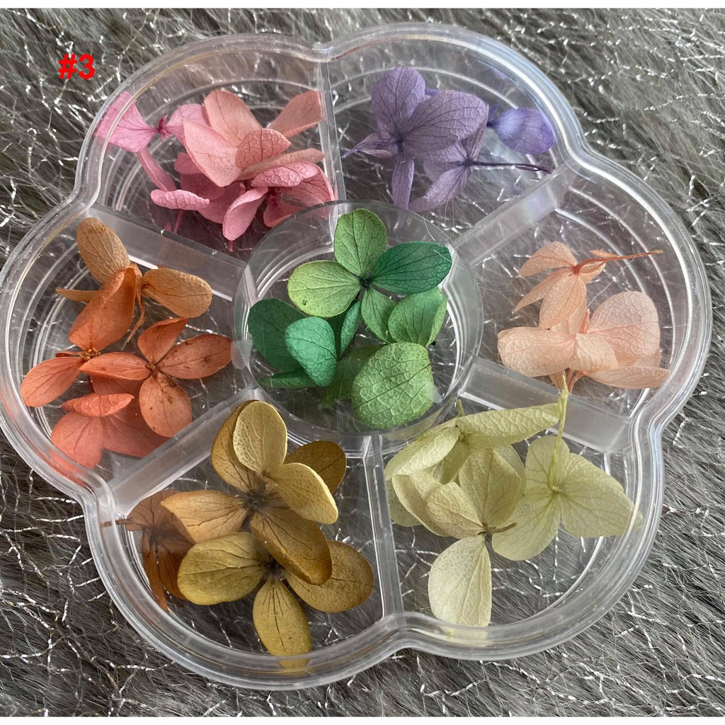 Hoa Khô Lụa Cánh To Ẩn Gel, Ẩn Bột - Phụ Kiện Trang Trí Móng Nail Art - Lẻ 1 hộp