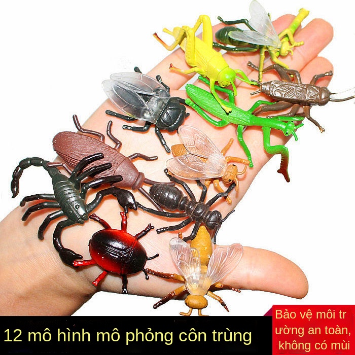 J12 Đồ Chơi Mô Hình Côn Trùng Biết Khỉ Con chuồn Bọ Cạp Cò Kiến Bộ Động Vật Trẻ Em Bé Trai