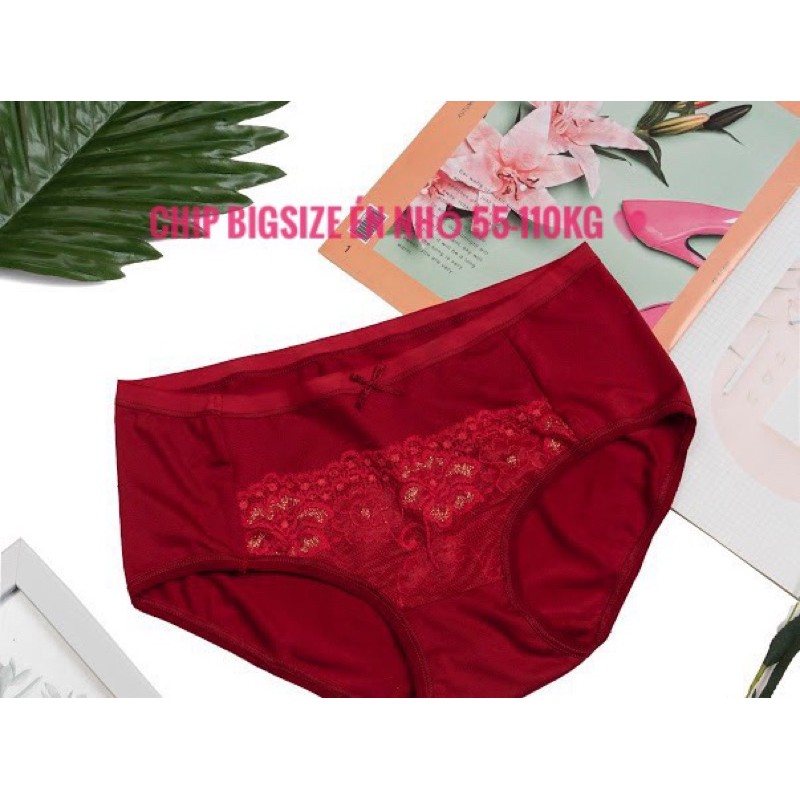 Quần Lót Nữ Thun Cotton Lạnh 55-110kg | BigBuy360 - bigbuy360.vn