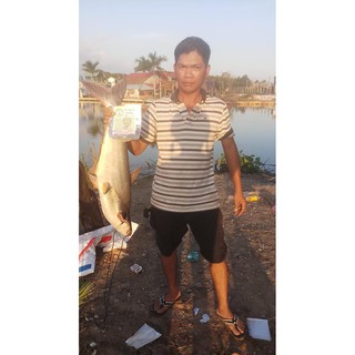 Mồi Câu Cá TRA, TRÊ, CHIM,...