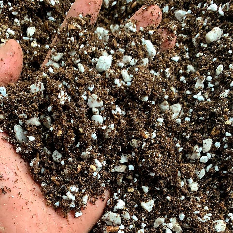 1kg Đá perlite, đá trân châu, dùng phối trộn giá thể trồng cây các loại.