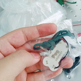 Pet's name bảng tên thú cưng
