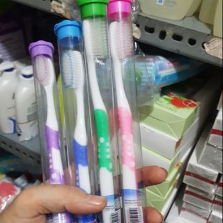 Bàn chải đánh răng Thái Lan giao ngẩu nhiên