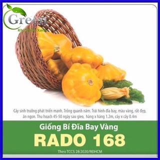 Giống bí đĩa bay vàng 168