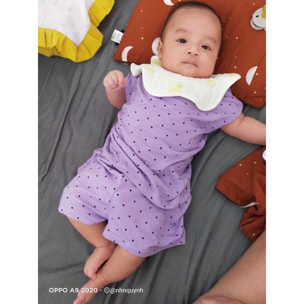 Bộ thun lạnh cánh dơi Minky mom hàng chuẩn đẹp